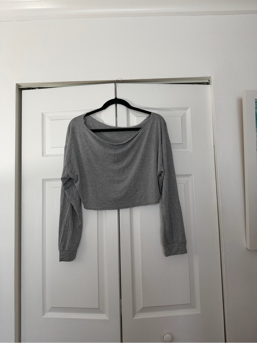 Grey Long Sleeve Cropped Women's Top - Casual Everyday